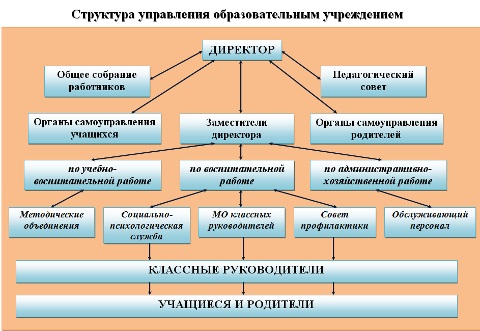 Структура управления школой.
